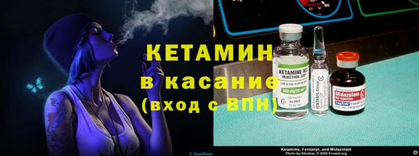 гашик Туринск