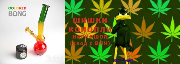гашик Лабытнанги