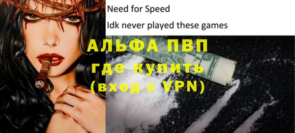 PSILOCYBIN Ладушкин