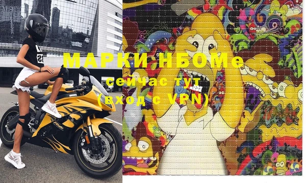 дмт Сатка